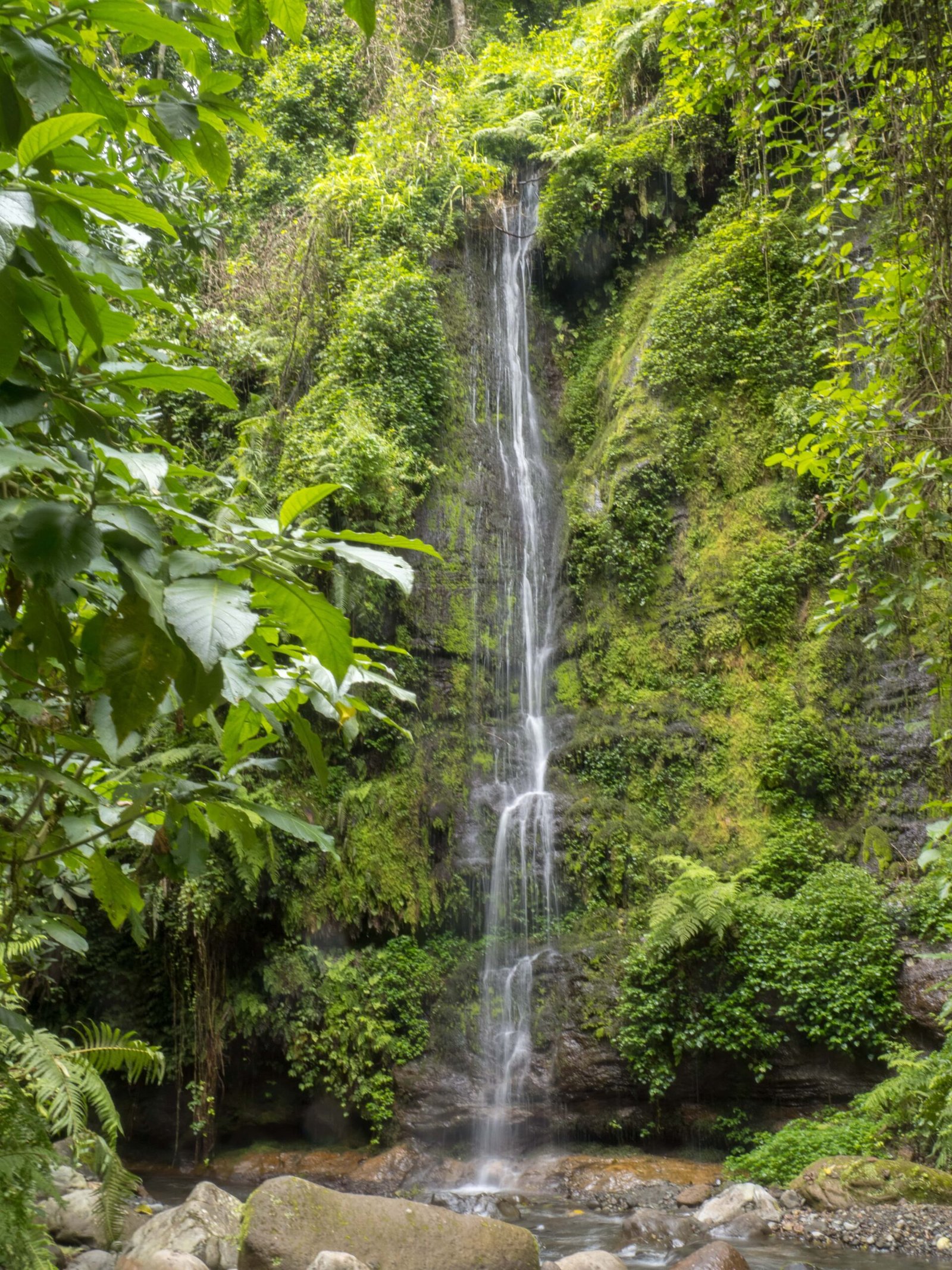 Nepal Yoga Academy Gallery