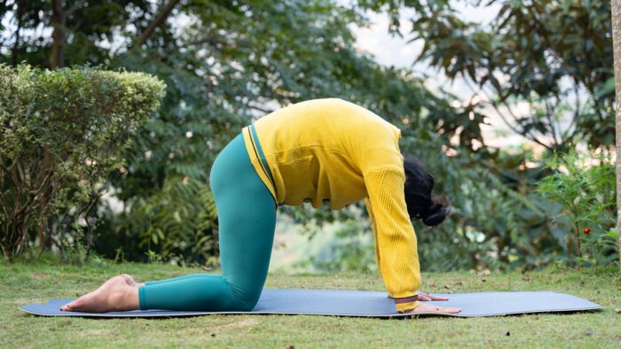 My Favorite 10 Minute Yoga Routine For a Healthy Life 3 Cat Stretching Pose