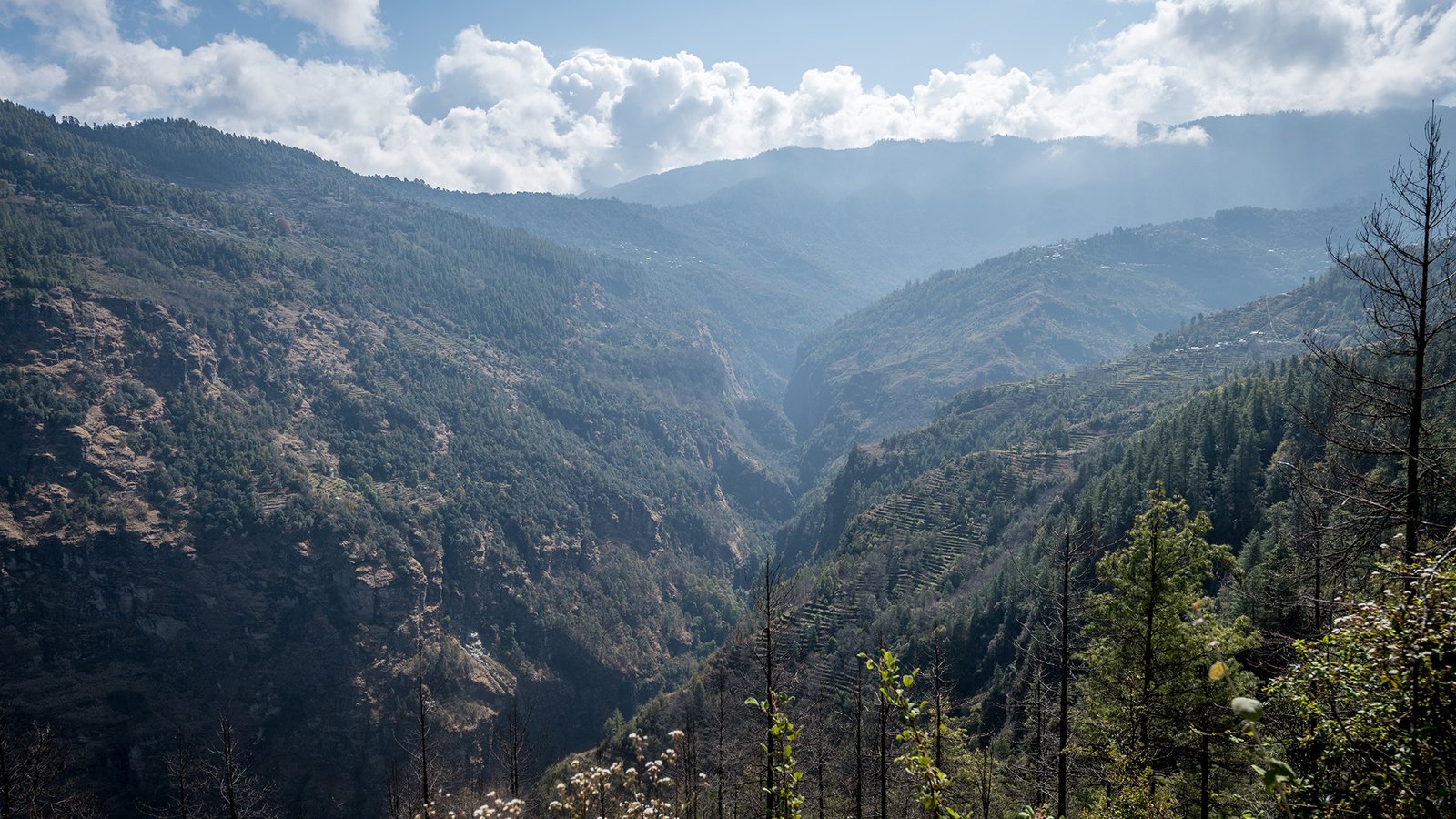 Nepal Yoga Academy Gallery