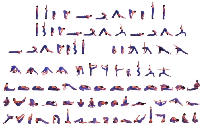 Ashtanga Vinyasa Yoga training in Nepal