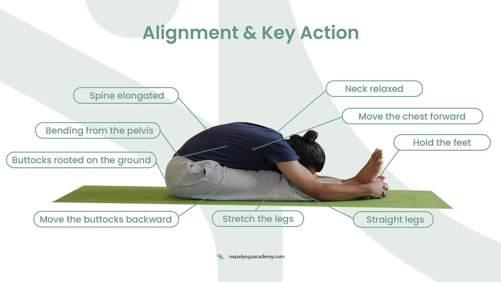 Paschimottanasana