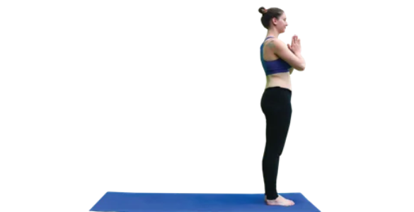 Meditation
