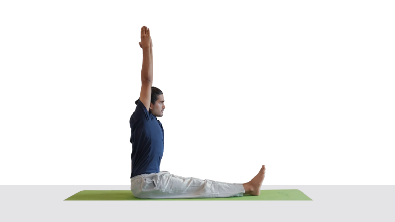 Yoga and Meditation: Benefits, Types, Poses & Daily Practice Guide