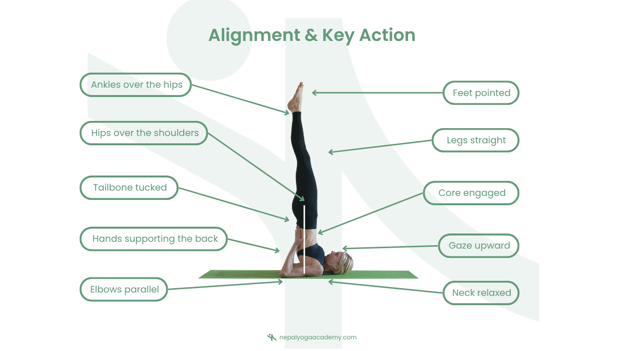 Sarvangasana