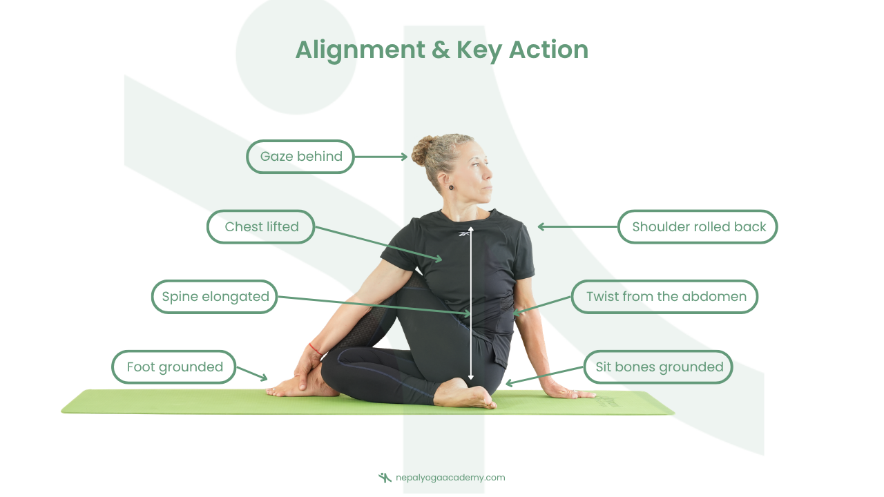 Ardha Matsyendrasana