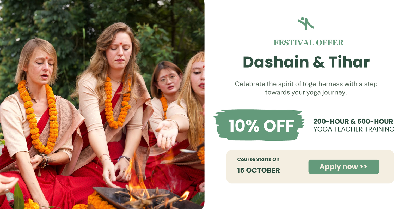 Festival Offer