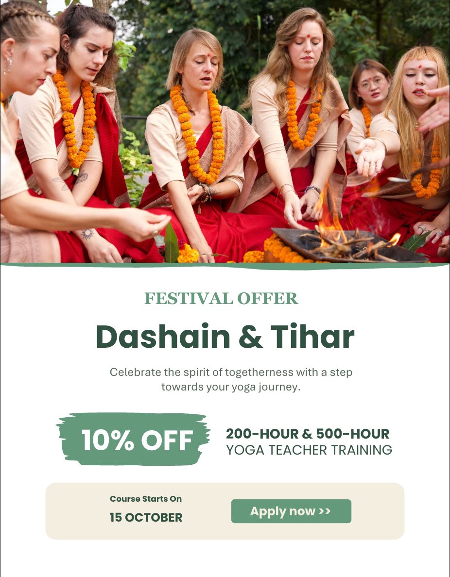 Festival Offer